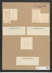Nitzschia gracilis Hantzsch (de-Toni-Nr.: Genus 47, Species 2124) Zeichnungen Sammlung Grunow Nr. 4258 (NHMW-BOT-W0372234)